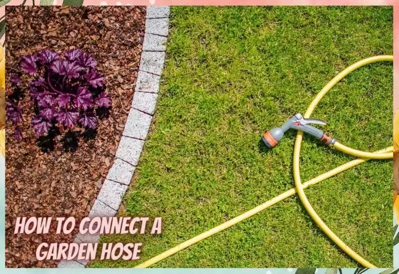 How to connect a garden hose